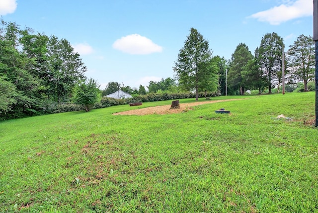 115 Annabelle Way, Ashland City, TN 37015 - view of green lawn