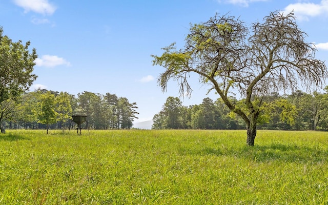 36 Still Hollow Rd, Menlo, GA 30731 - view of yard