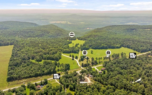 36 Still Hollow Rd, Menlo, GA 30731 - bird's eye view of a forest