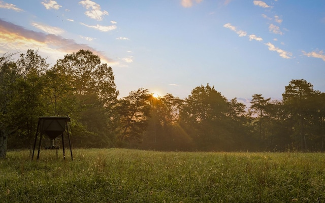 36 Still Hollow Rd, Menlo, GA 30731 - view of undeveloped land
