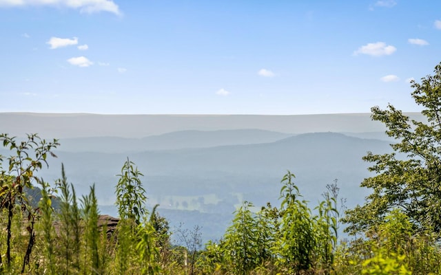 36 Still Hollow Rd, Menlo, GA 30731 - water view featuring a mountain backdrop
