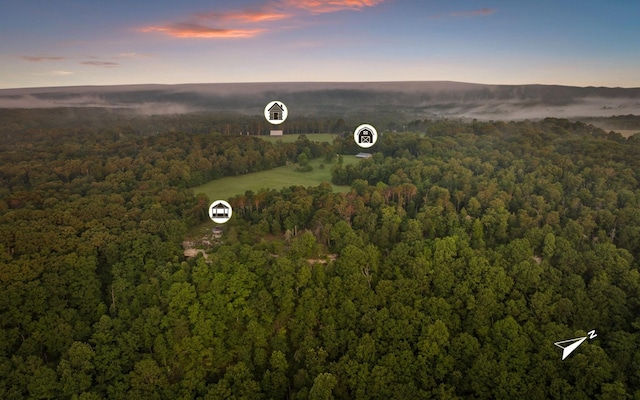 36 Still Hollow Rd, Menlo, GA 30731 - aerial view of a heavily wooded area