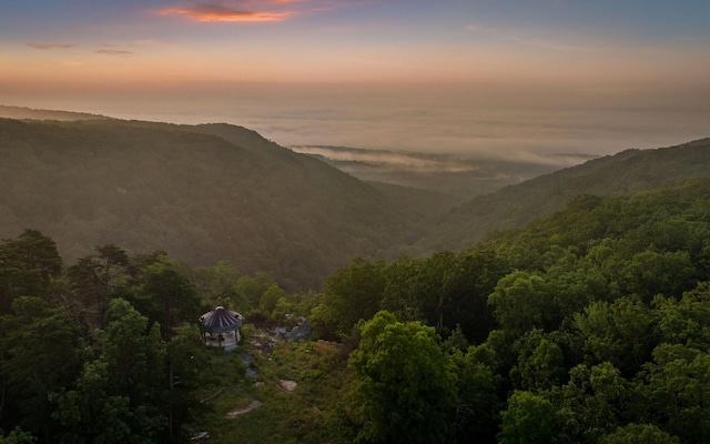 36 Still Hollow Rd, Menlo, GA 30731 - mountain view with a forest