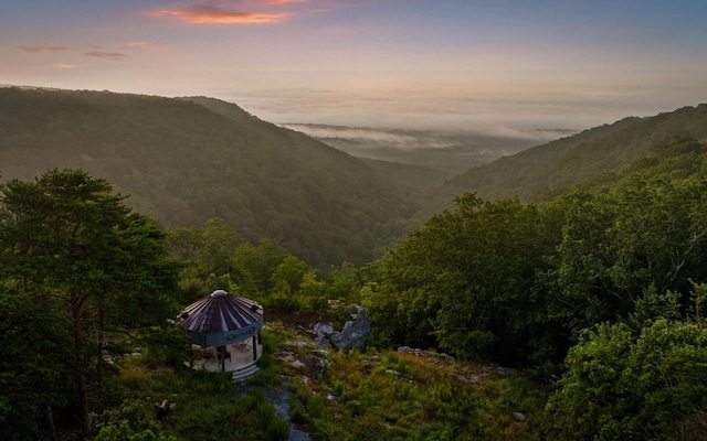 36 Still Hollow Rd, Menlo, GA 30731 - view of mountain backdrop with a forest