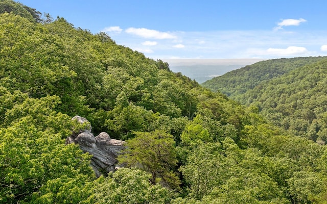 36 Still Hollow Rd, Menlo, GA 30731 - view of mountain background with a heavily wooded area