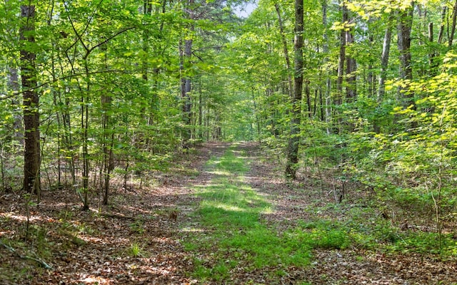 36 Still Hollow Rd, Menlo, GA 30731 - view of wooded area
