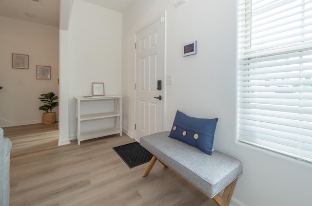 5314 Dan Post Way, Murfreesboro, TN 37128 - mudroom with healthy amount of natural light and light wood-type flooring