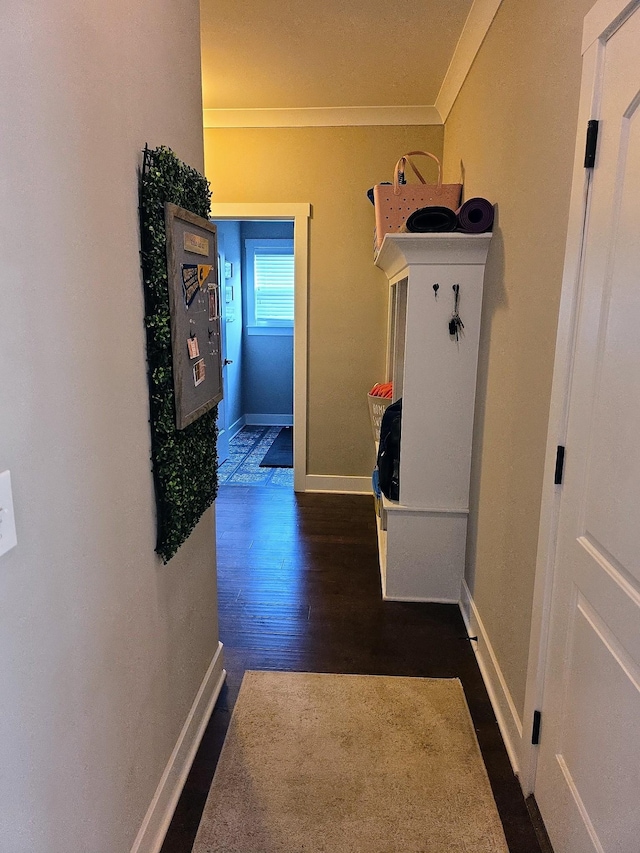 8009 Shelly Plum Dr, Murfreesboro, TN 37128 - hall featuring crown molding and dark wood finished floors