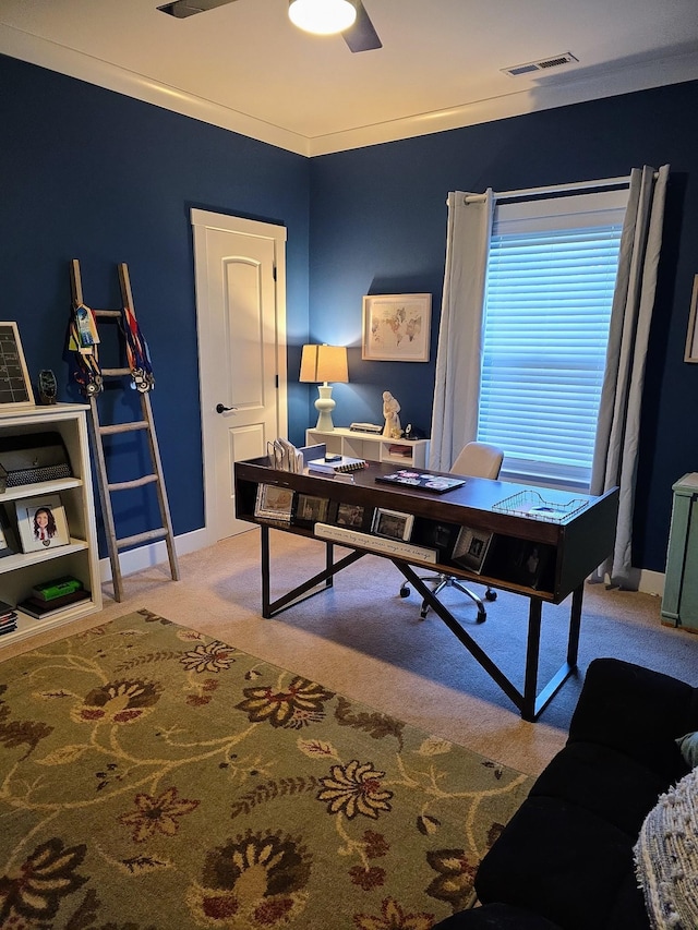 8009 Shelly Plum Dr, Murfreesboro, TN 37128 - carpeted office space with crown molding and baseboards