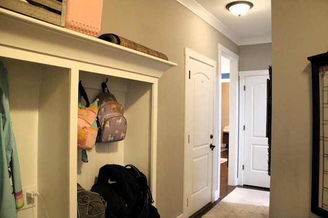 8009 Shelly Plum Dr, Murfreesboro, TN 37128 - mudroom with ornamental molding