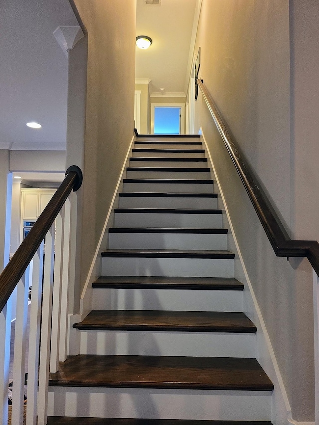 8009 Shelly Plum Dr, Murfreesboro, TN 37128 - view of staircase