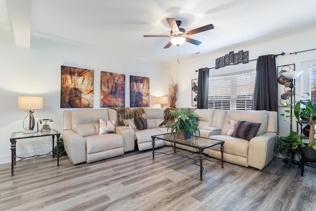 3331 Alta Ln, Murfreesboro, TN 37128 - living area featuring a ceiling fan and light wood-style floors