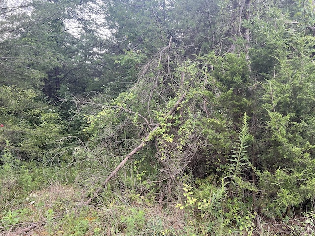 0 Coal Rd, Jamestown, TN 38556 - photo 8