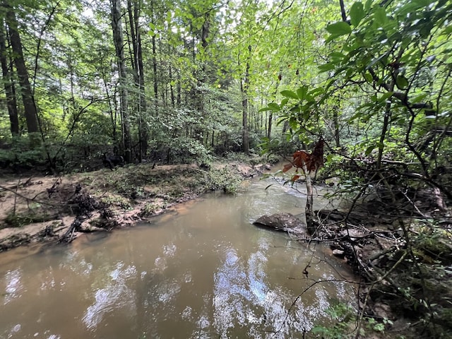 0 Coal Rd, Jamestown, TN 38556 - photo 2