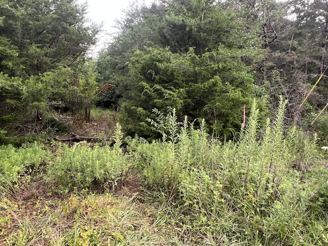 0 Coal Rd, Jamestown, TN 38556 - photo 9