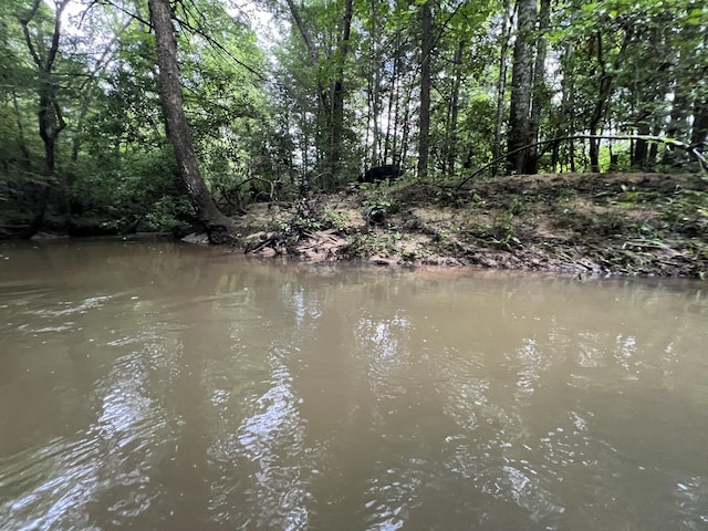 0 Coal Rd, Jamestown, TN 38556 - photo 3