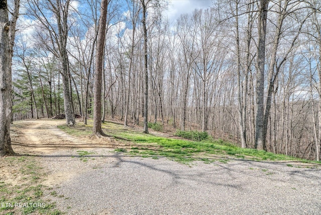 708 Poston Dr, Monterey, TN 38574 - view of street with a wooded view