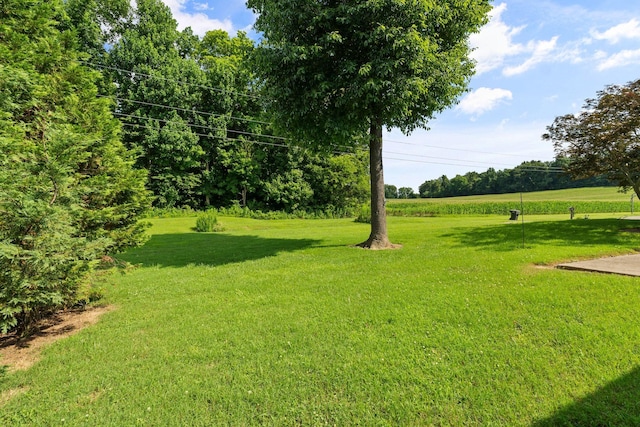 702 Gunn Ln, Springfield, TN 37172 - photo 30