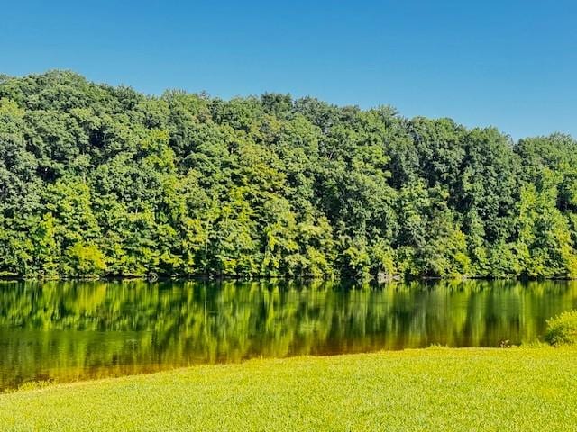 112 Plain View Dr, Estill Springs, TN 37330 - water view with a heavily wooded area