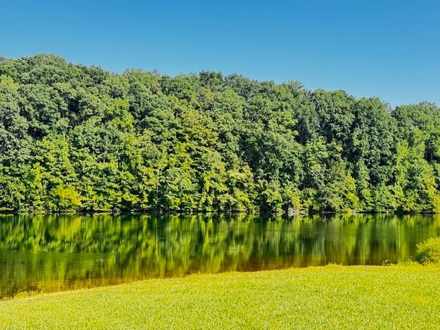 112 Plain View Dr, Estill Springs, TN 37330 - water view with a heavily wooded area