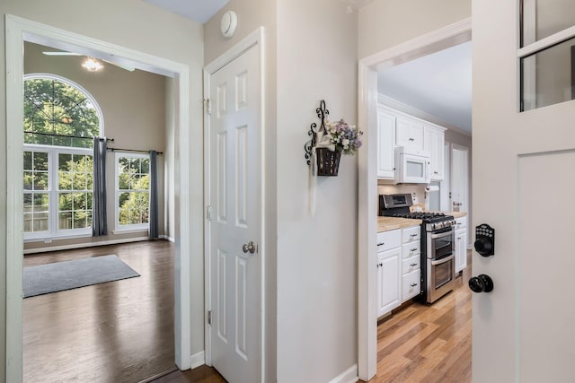 2117 Spring Hill Cir, Spring Hill, TN 37174 - hallway featuring light wood-style floors and baseboards