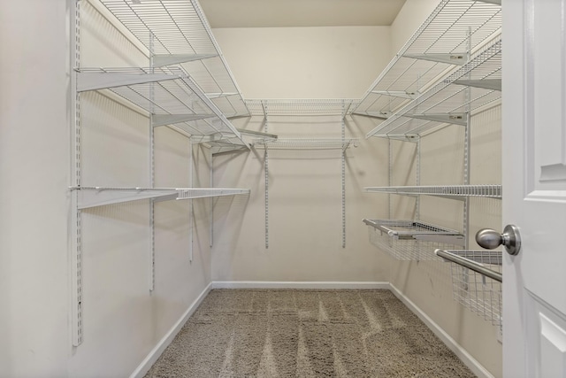 654 Foster Ln, Mount Juliet, TN 37122 - spacious closet with carpet