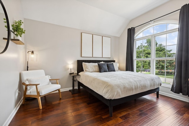 1016 Nealcrest Cir, Spring Hill, TN 37174 - bedroom featuring vaulted ceiling and dark wood-style floors