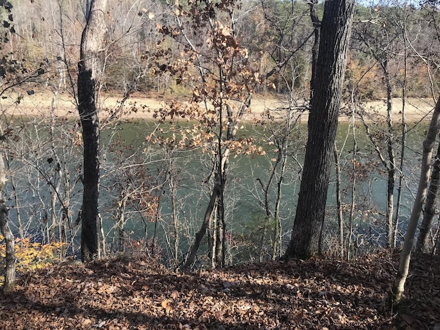 0 Sparkmantown Rd, Doyle, TN 38559 - photo 6