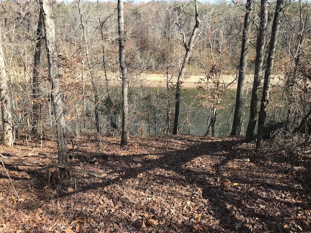 0 Sparkmantown Rd, Doyle, TN 38559 - photo 7