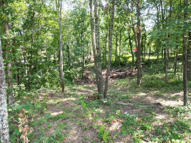 103 S Village Ct, Collinwood, TN 38450 - photo 18