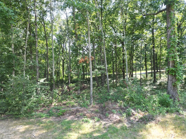 103 S Village Ct, Collinwood, TN 38450 - photo 15
