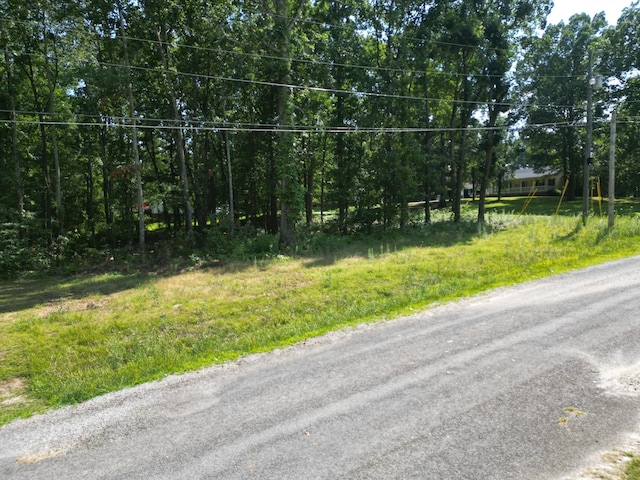 103 S Village Ct, Collinwood, TN 38450 - photo 5