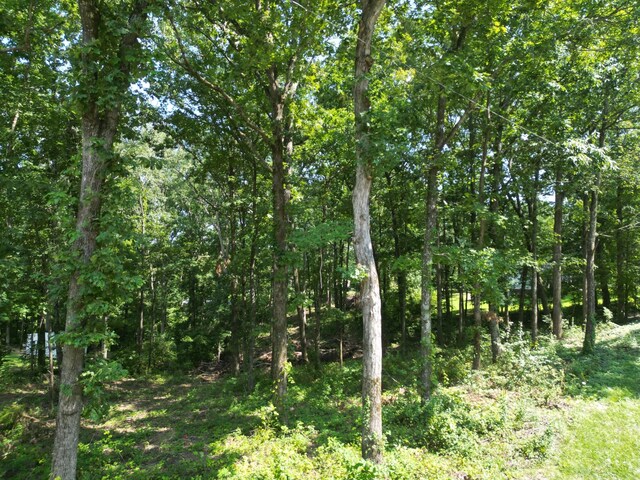 103 S Village Ct, Collinwood, TN 38450 - photo 14