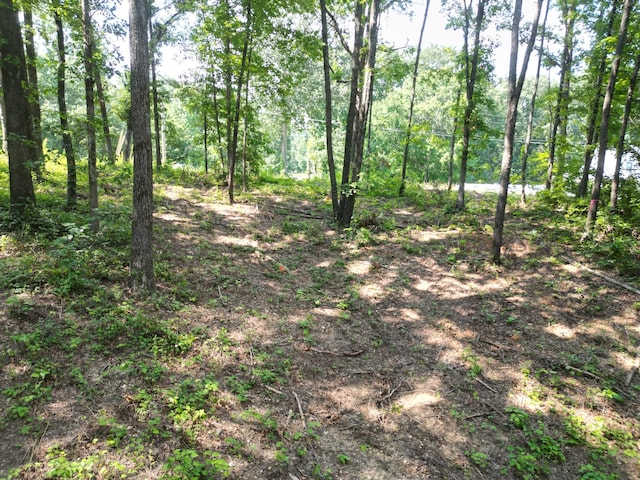103 S Village Ct, Collinwood, TN 38450 - photo 12