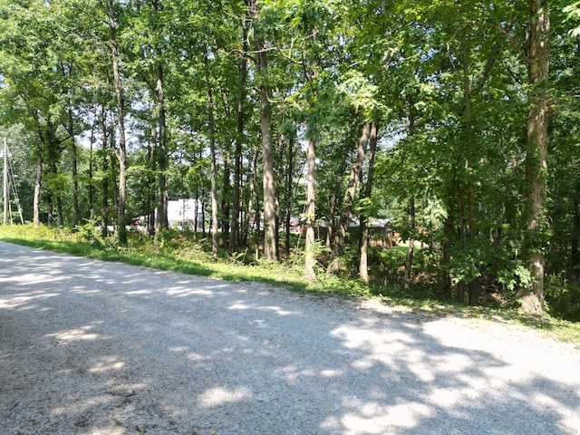 103 S Village Ct, Collinwood, TN 38450 - photo 7