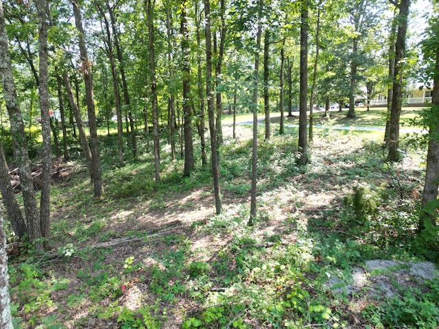103 S Village Ct, Collinwood, TN 38450 - photo 17