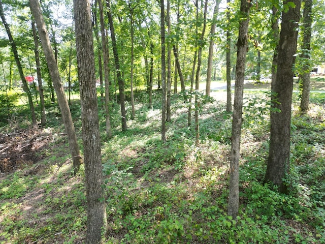 103 S Village Ct, Collinwood, TN 38450 - photo 11