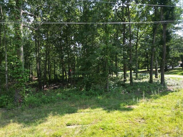 103 S Village Ct, Collinwood, TN 38450 - photo 9
