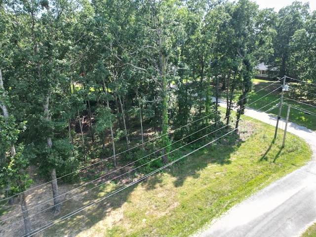 103 S Village Ct, Collinwood, TN 38450 - photo 2