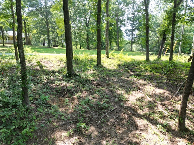 103 S Village Ct, Collinwood, TN 38450 - photo 8