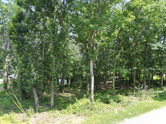 103 S Village Ct, Collinwood, TN 38450 - photo 10