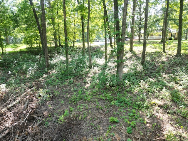 103 S Village Ct, Collinwood, TN 38450 - photo 13