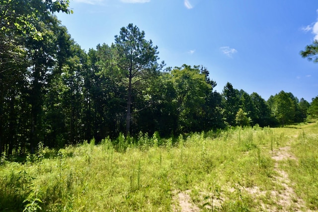 0 Allens Creek Rd, Hohenwald, TN 38462