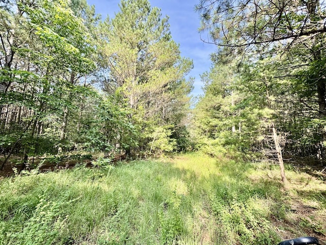 0 Allens Creek Rd, Hohenwald, TN 38462