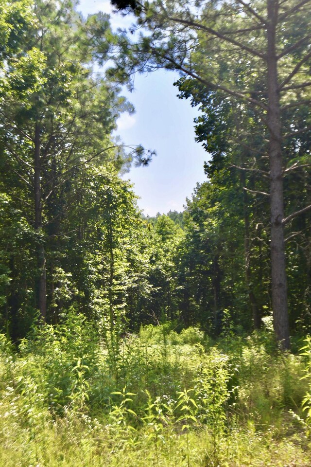 0 Allens Creek Rd, Hohenwald, TN 38462