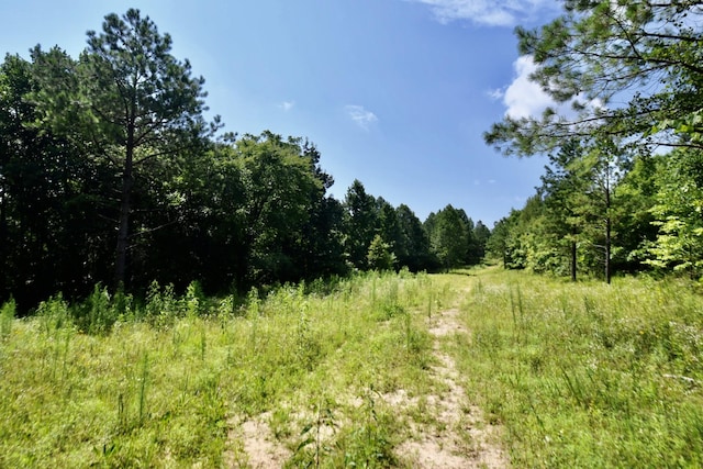 0 Allens Creek Rd, Hohenwald, TN 38462