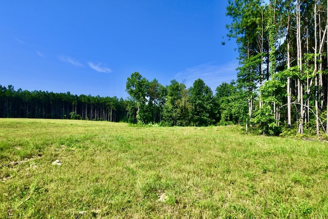 0 Allens Creek Rd, Hohenwald, TN 38462