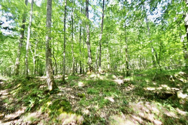 0 Allens Creek Rd, Hohenwald, TN 38462