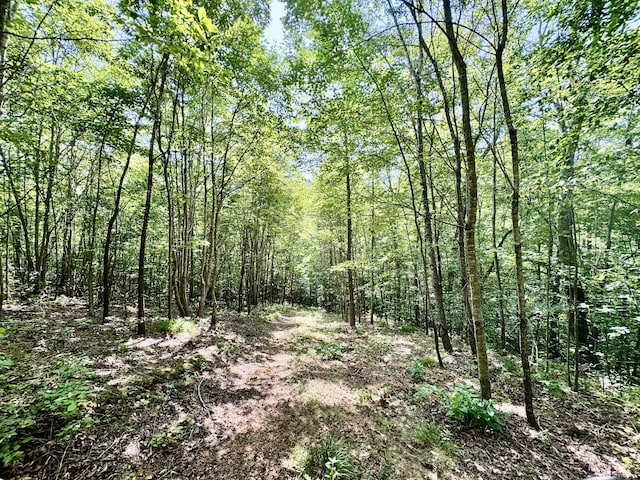 0 Allens Creek Rd, Hohenwald, TN 38462