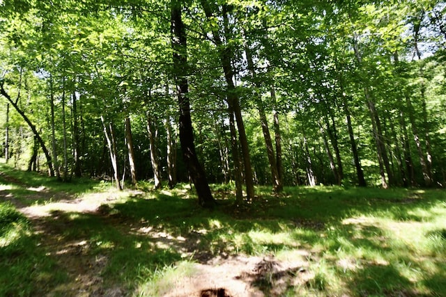 0 Allens Creek Rd, Hohenwald, TN 38462